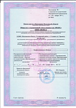 Лицензия стр.3